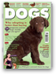 Dogs Today Magazine